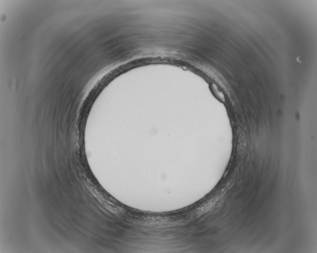 X0000086000927200704201827