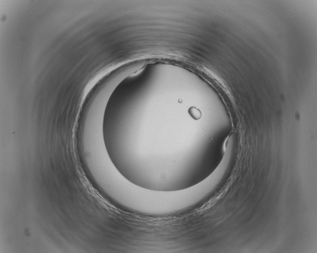 X0000086000928200704201828