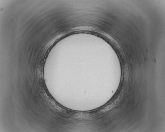 X0000086000929200704201828