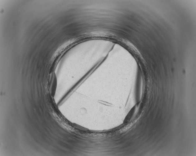 X0000086000930200704201828