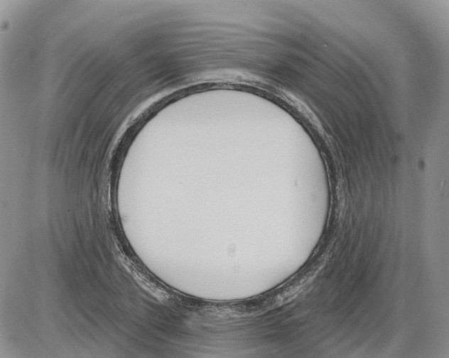 X0000086000931200704201828