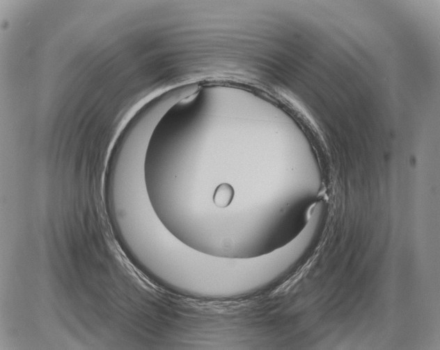 X0000086000932200704201828