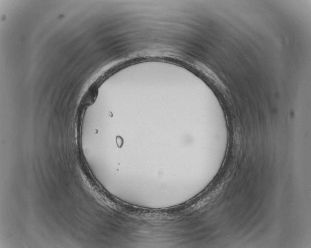 X0000086000934200704201828