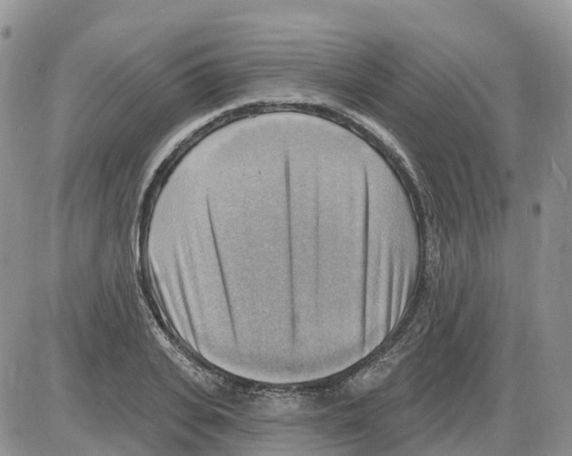 X0000086000935200704201828