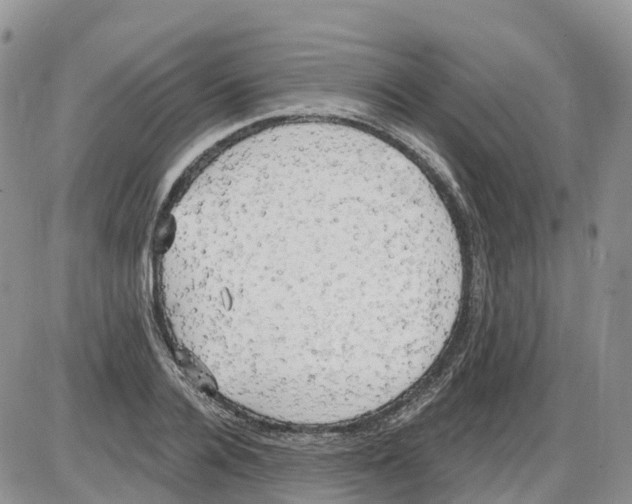 X0000086000936200704201828