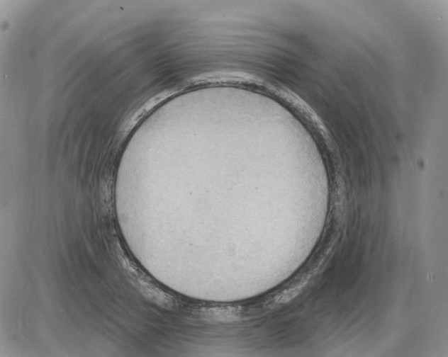 X0000086000937200704201828