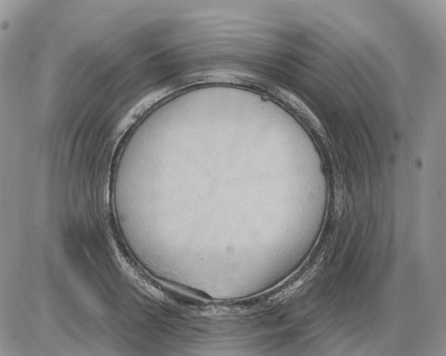 X0000086000938200704201828