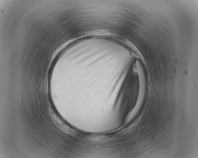 X0000086000939200704201828