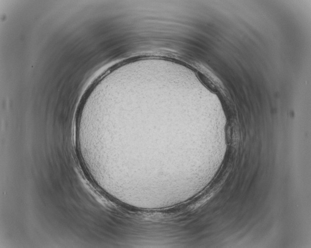 X0000086000940200704201828