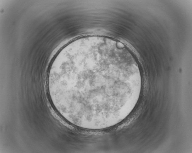 X0000086000941200704201828