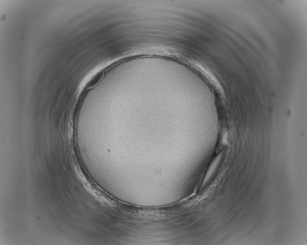 X0000086000944200704201828