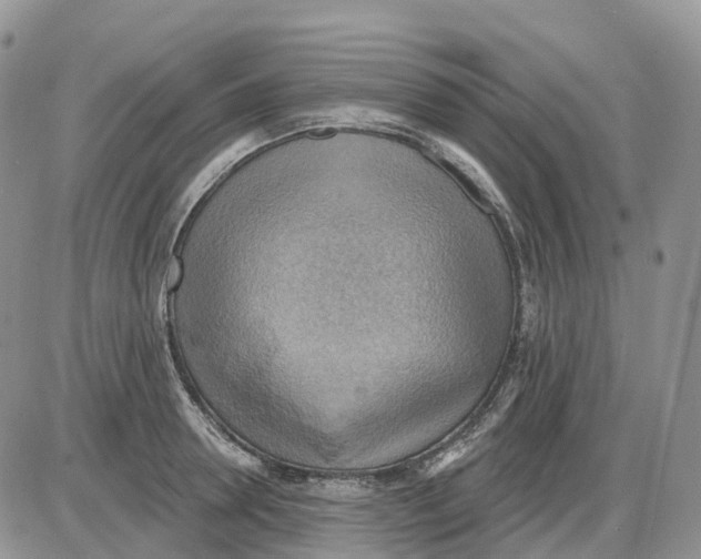 X0000086000946200704201828