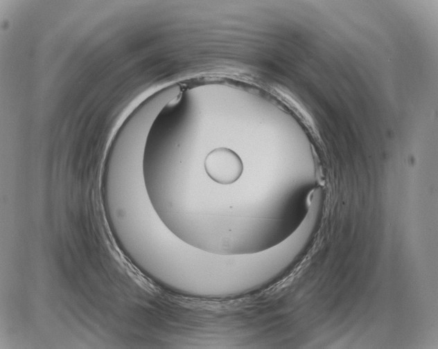 X0000086000948200704201828