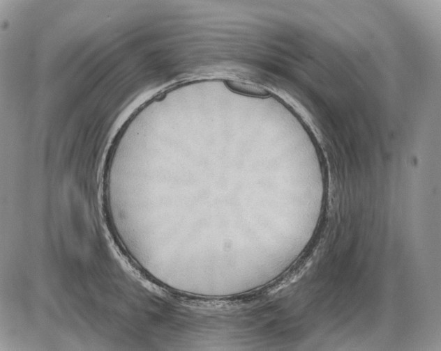 X0000086000949200704201828