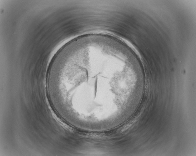 X0000086000951200704201828