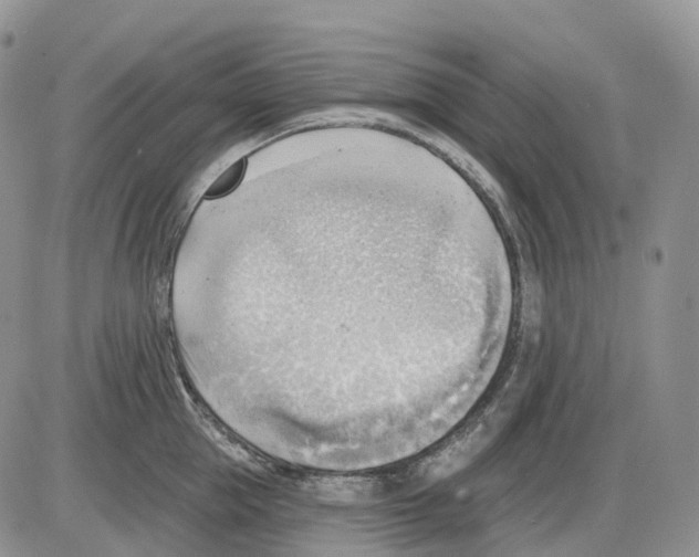 X0000086000953200704201828