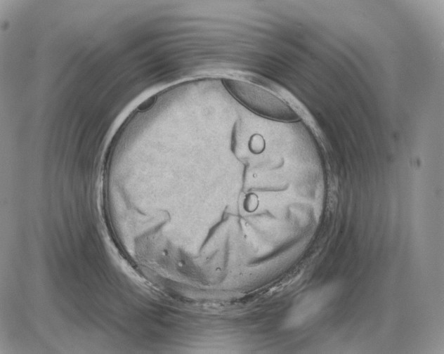 X0000086000955200704201828