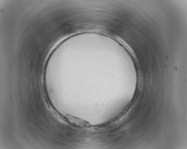 X0000086000956200704201828