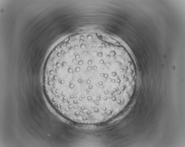 X0000086000957200704201828