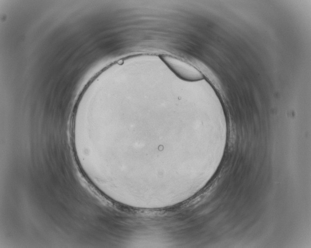 X0000086000958200704201828