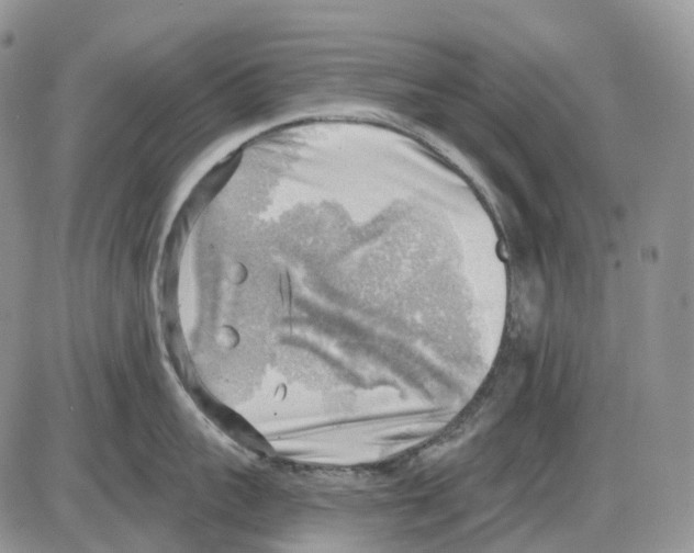 X0000086000959200704201828