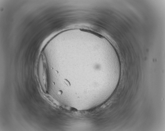 X0000086000960200704201828