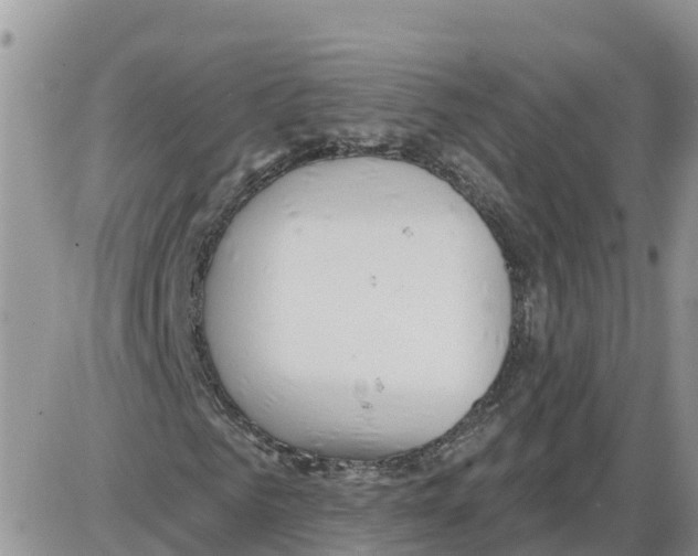 X0000086000961200704201827