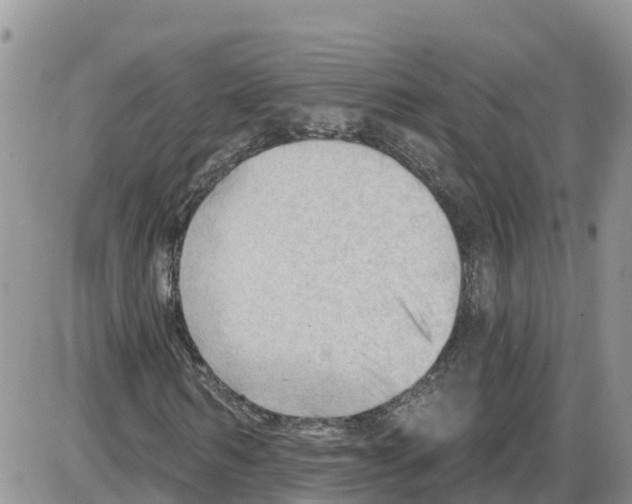 X0000086000962200704201827