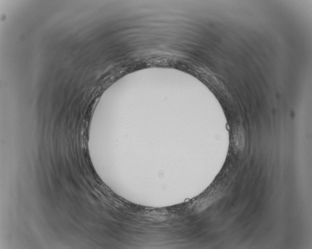 X0000086000964200704201827