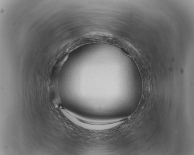 X0000086000965200704201827