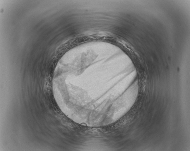 X0000086000966200704201827