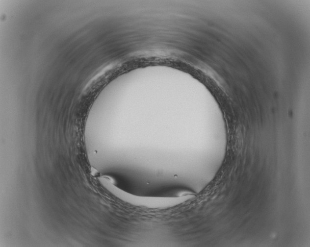 X0000086000967200704201827