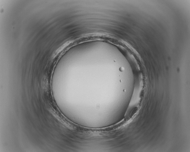 X0000086000969200704201827