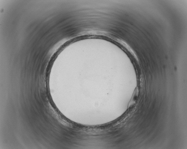 X0000086000972200704201827