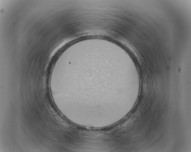 X0000086000975200704201827