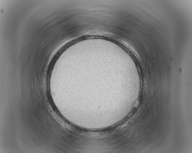 X0000086000976200704201827