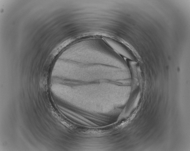 X0000086000977200704201827