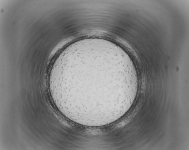 X0000086000978200704201827