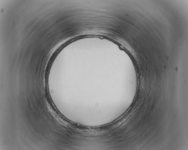 X0000086000980200704201827