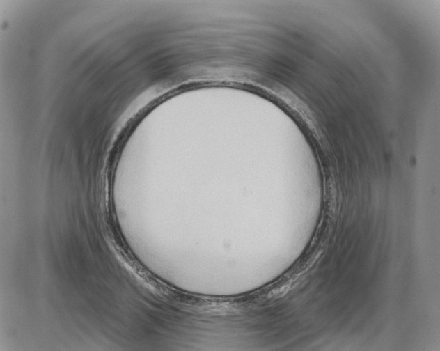 X0000086000982200704201827