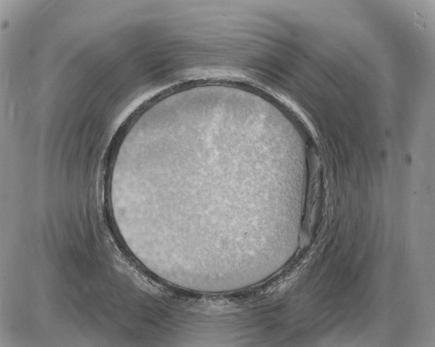 X0000086000983200704201827