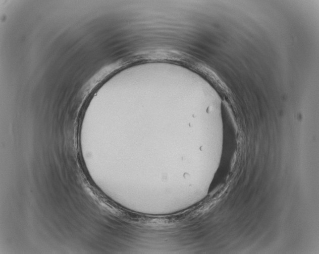 X0000086000986200704201827