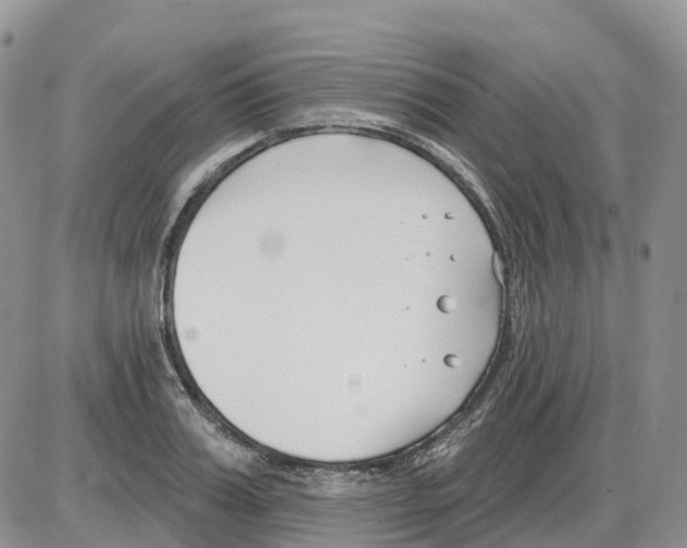 X0000086000987200704201827