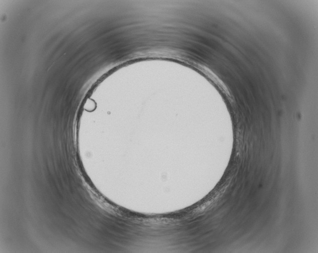 X0000086000988200704201827