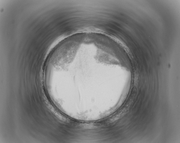 X0000086000990200704201827