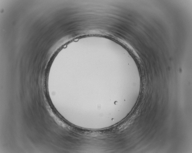 X0000086000991200704201827