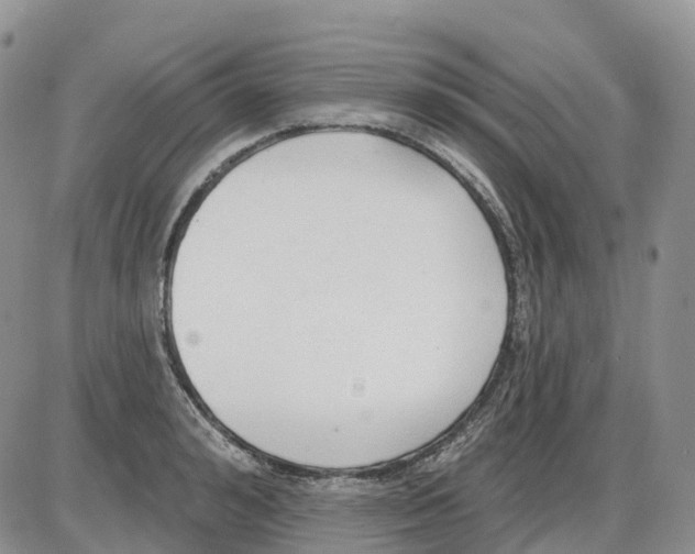 X0000086000992200704201827