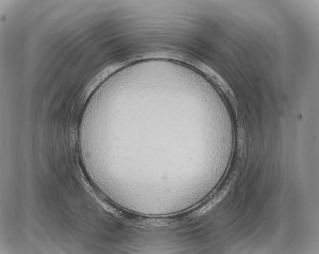 X0000086000993200704201827