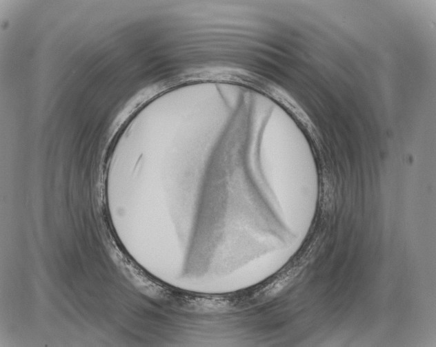 X0000086000994200704201827