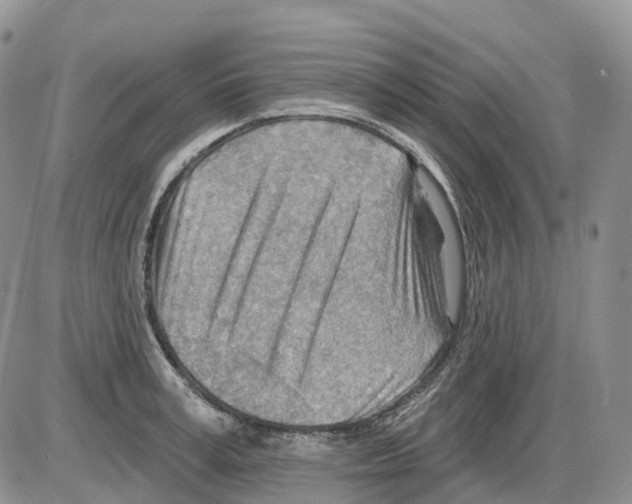 X0000086000995200704201827